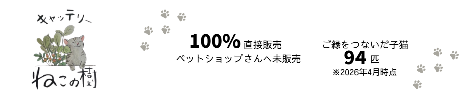 キャッテリーねこの樹